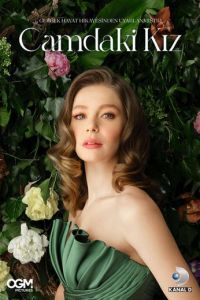 Девушка за стеклом 67 серия русская озвучка